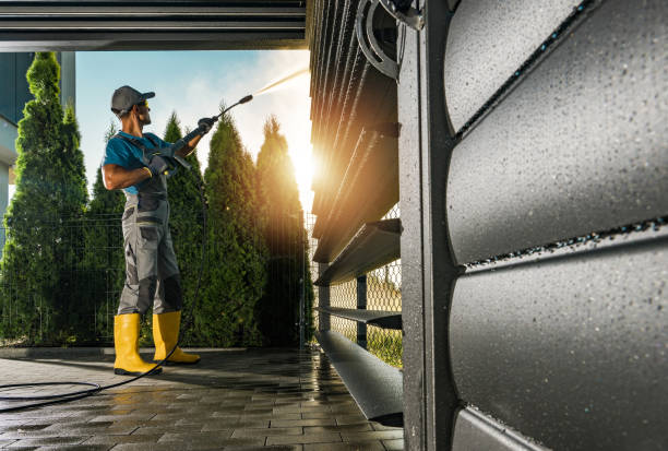 Best Fence Cleaning  in Belleville, MI